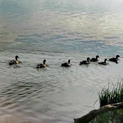 Edyta Cicharska - 5 - Jezioro